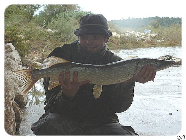 mon premier brochet au leurre !! P1050224