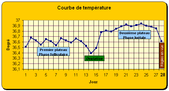 courbe de temperature Courbe12