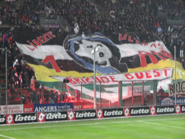 L2: Angers - Montpellier Tifo_111
