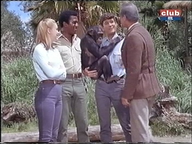 Série "Daktari" (1966-1969) - Page 6 Vlcsn229