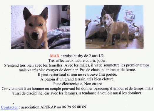 MAX pas adopté ? - Page 2 Max8ld10