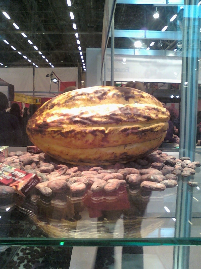 Salon du Chocolat 2008 08110118