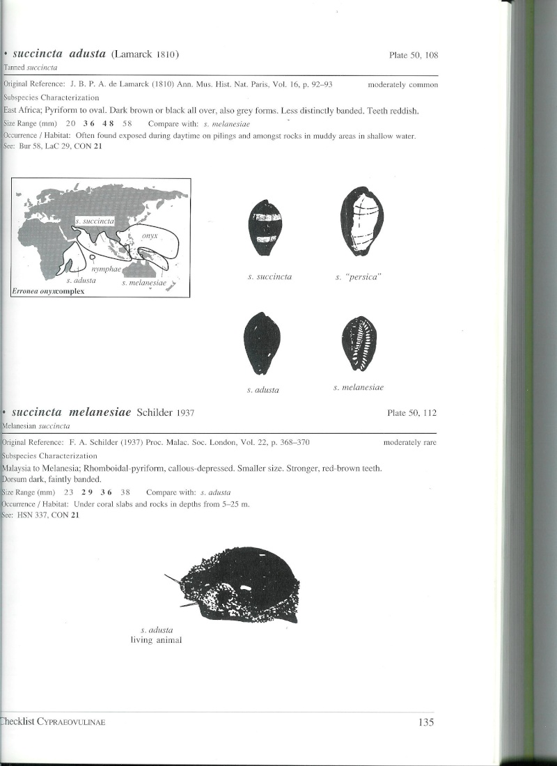 [résolu] Erronea succincta succincta (LINNAEUS, 1758) 00310