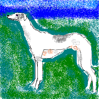 LE WHIPPET Whippe10