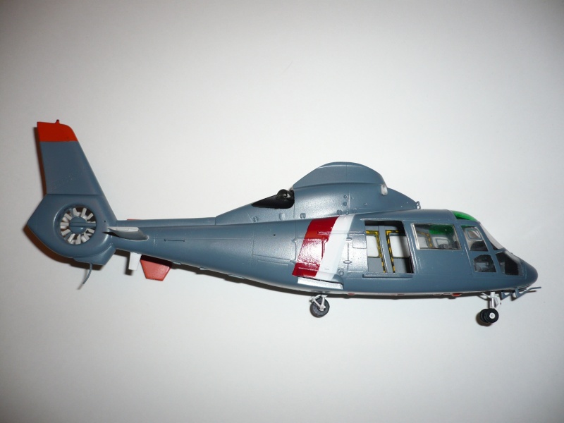 dauphin - [CONCOURS HELICO] Dauphin SP Marine 1/48 Trumpeter P1000714