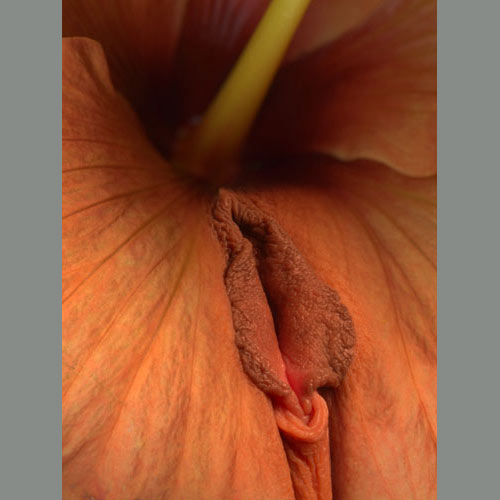 Delires florales photoshop  à tendances vulvaires... mdr 0710