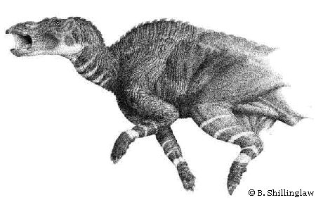 Les dinosaures Anatot11