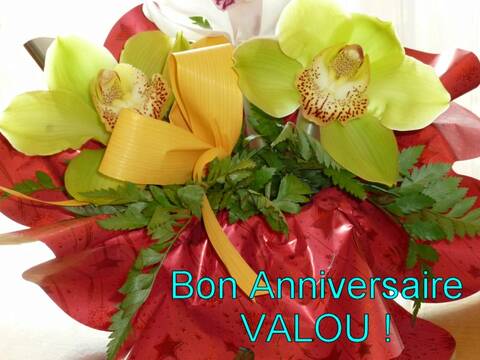 Joyeux Anniversaire Valou Page 2