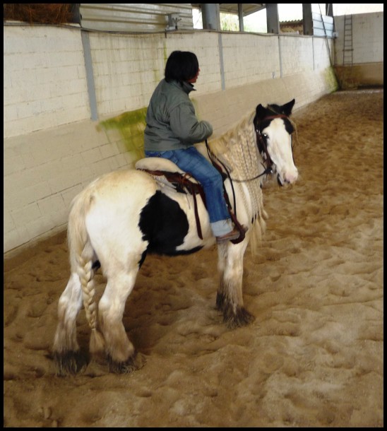 Prochaine session Western Dimanche 16 novembre au Haras des îles à Moirans - Page 9 P1010513