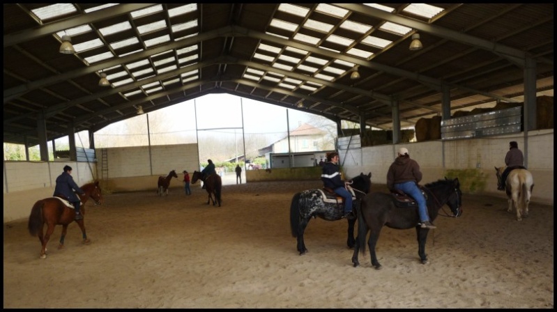 Prochaine session Western Dimanche 16 novembre au Haras des îles à Moirans - Page 9 P1010519