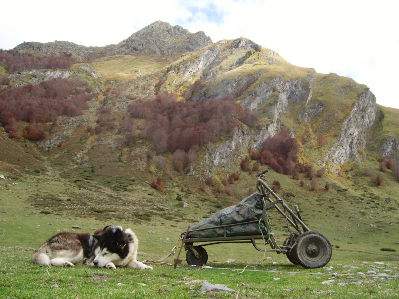 rando en kart dans les pyrénées (station d'artouste) Imgp5333