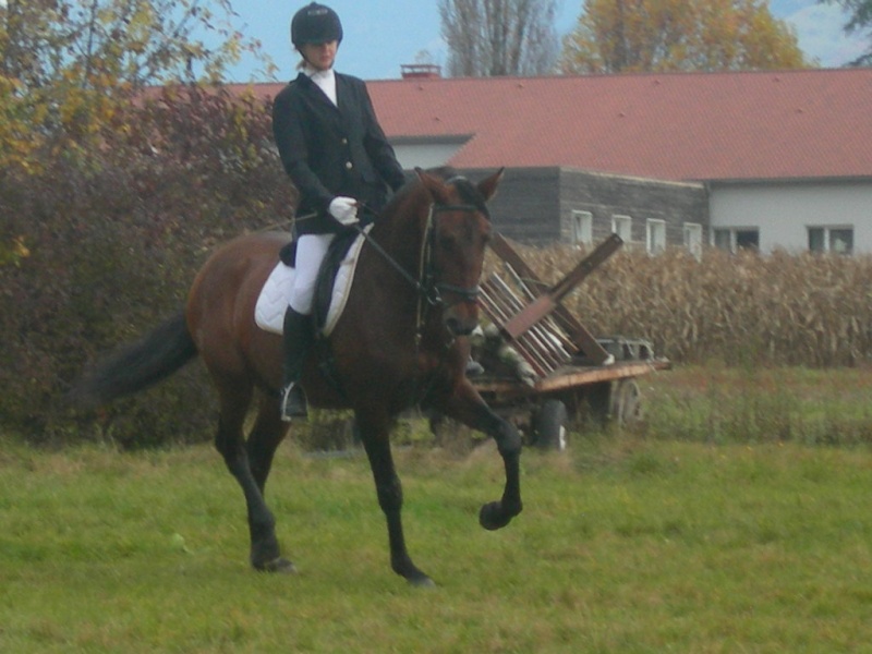 concours dressage - Page 8 Dscn6228