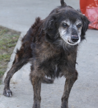 SOS POUR Wally il est sauvé!!! Wally210