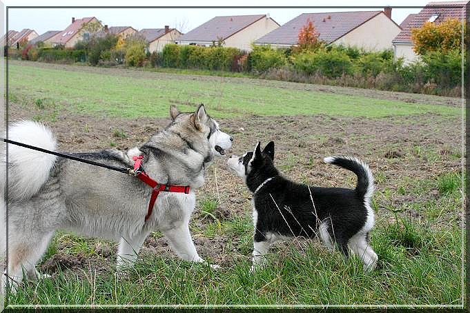 Les nouvelles rencontres du WE avec Junior!!! Img_3440