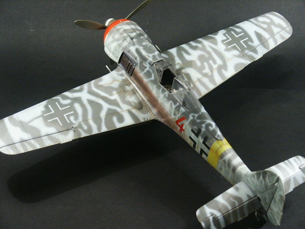 Focke wulf F8 [revell 1/32] 0112