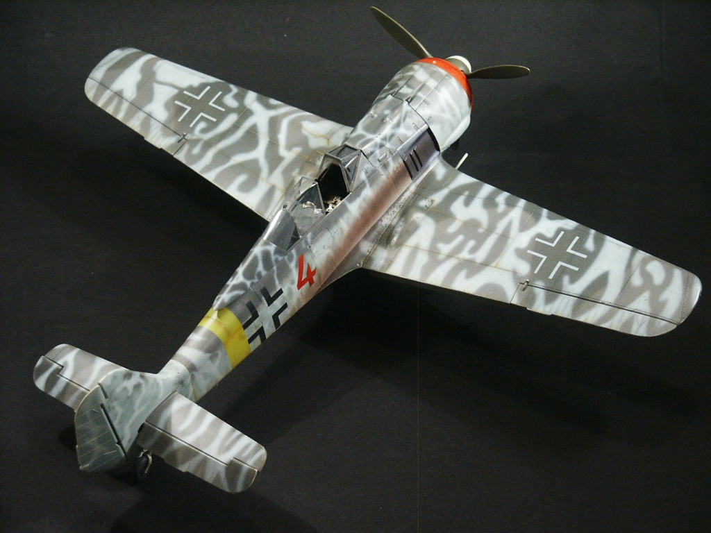 Focke wulf F8 [revell 1/32] 0412