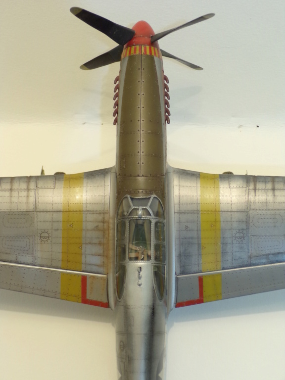 P51-B Mustang Tuskegee [ trumpeter 1/32] 1518