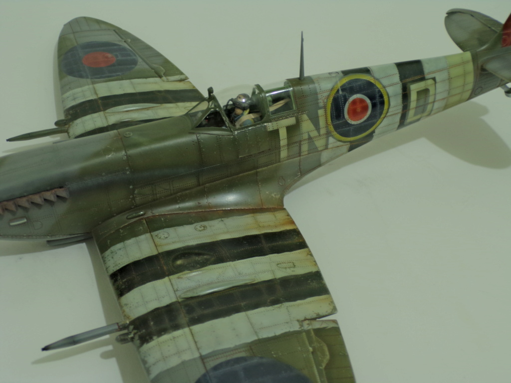 Bandit in the sun ! [spitfire mkIX revell 1/32] 1816
