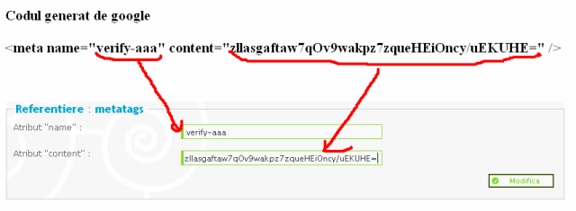 google meta tag verification problem Sitema11