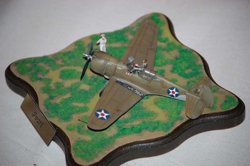 Curtis P-36 A - Special Hobby - 24X1h P-36_114