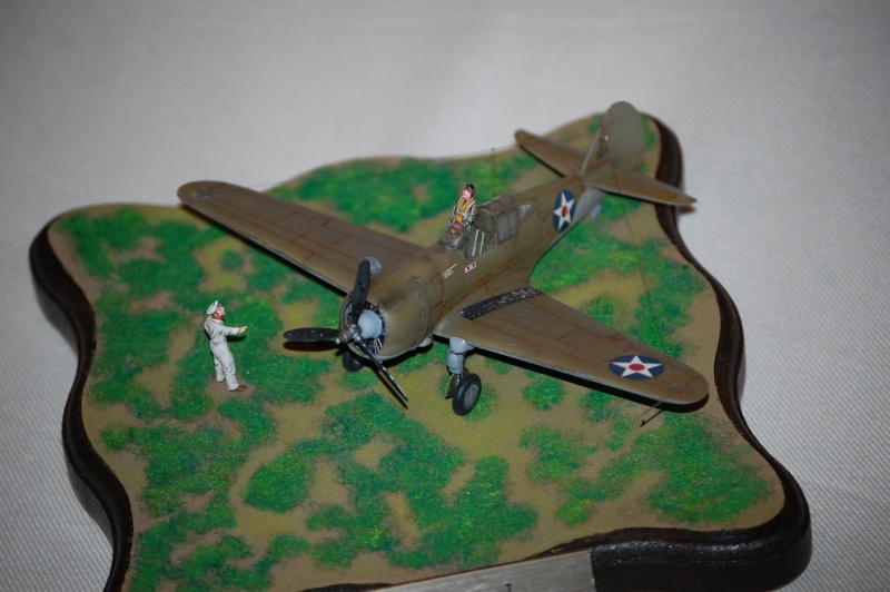 Curtis P-36 A - Special Hobby - 24X1h P-36_123