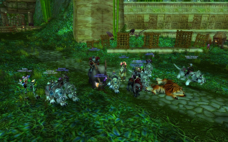 1er raid Ldende: Zul Gurub (clean) Wowscr31