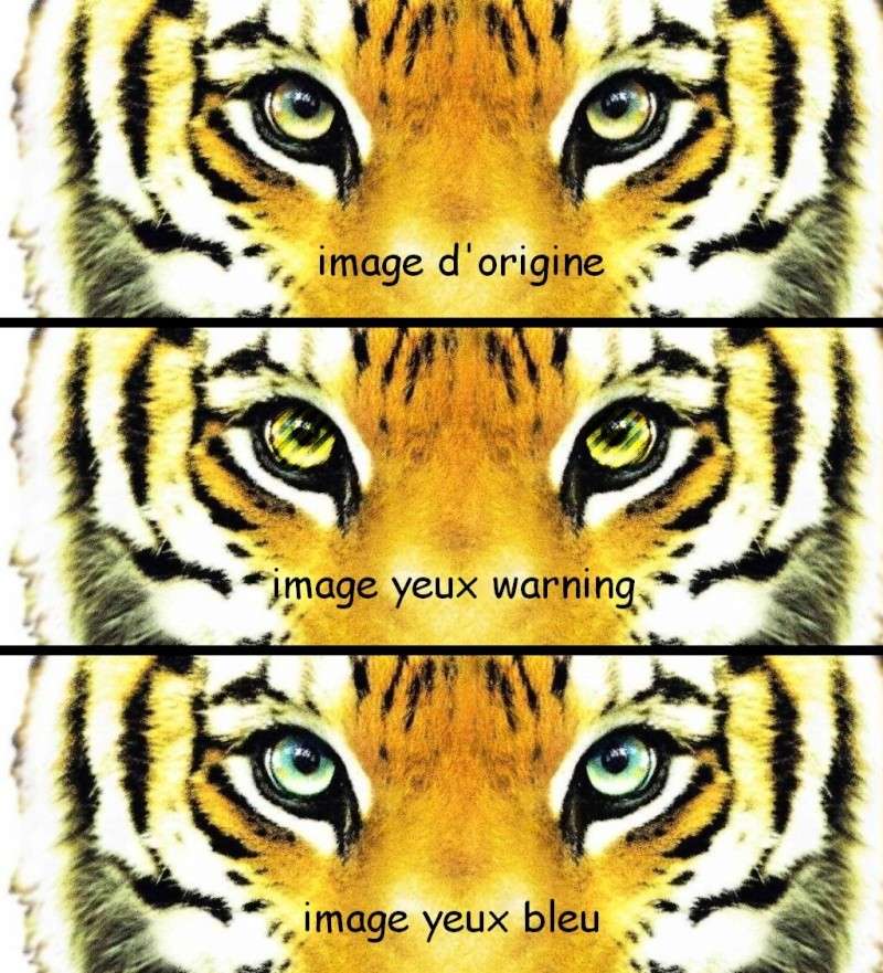 Lien extérieur - Tutoriel : Changer la couleur de vos yeux Tigre410