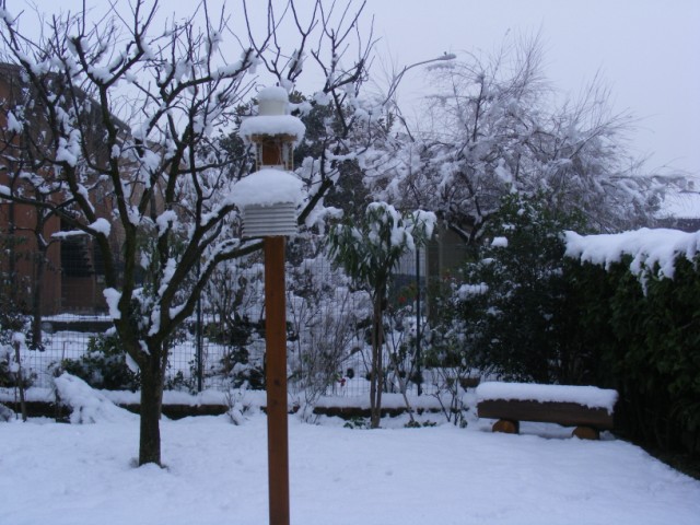 Nevicata di capodanno a Gussago Dscf6210
