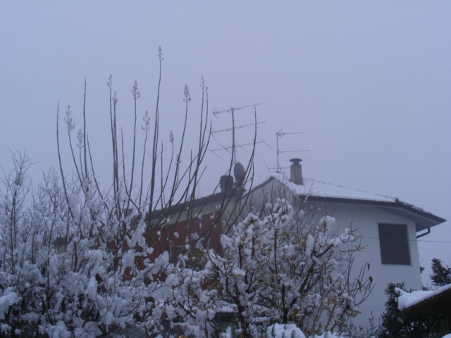 Nevicata di capodanno a Gussago Dscf6212