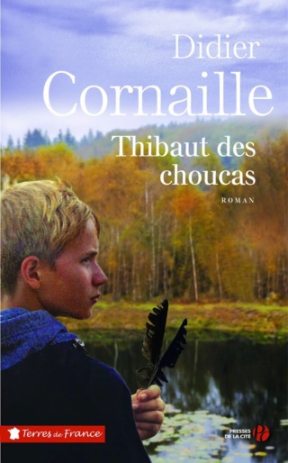 Fiches de lecture - instructions. Thibau10