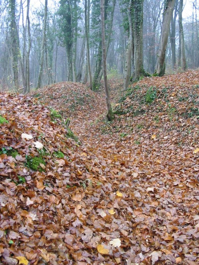 Fort de Souville...Verdun 1916 02311