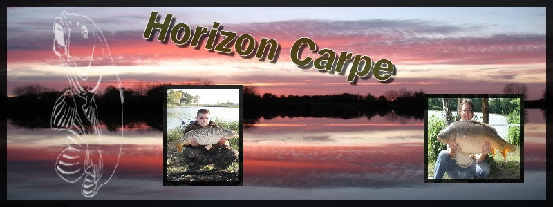 Horizon Carpe