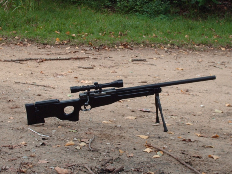 L 96 A1 Sniper Hpim1110