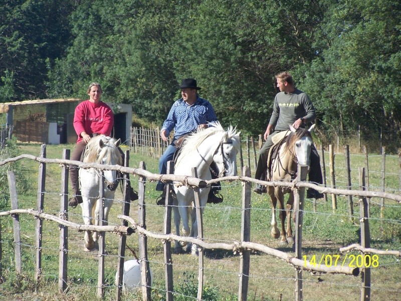 Le Camargue !! un cheval au grand coeur ! - Page 2 100_3212