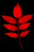 Forum ist gesperrt
