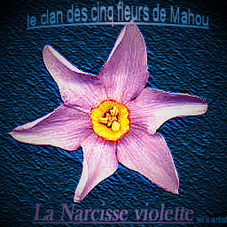 Présentation du clan des cinq fleurs de mahou Narcis11