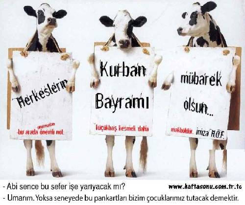 Kurban Bayraminiz Mubarek olsun B-487910