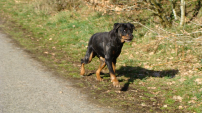 Shouki rott de 9 ans , ou mère courage Shouki15