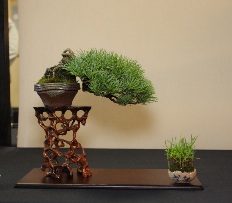 Shohin UK Exhibition-2013 : photos of the award winners   Fobbs_12