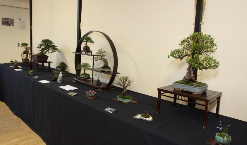 Shohin UK Exhibition-2013 : photos of the award winners   Wirral10