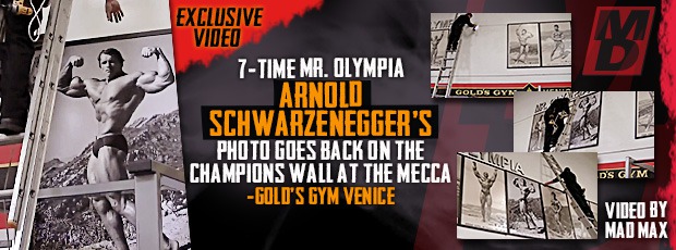 Arnold Schwarzenegger - Page 2 Arnold12