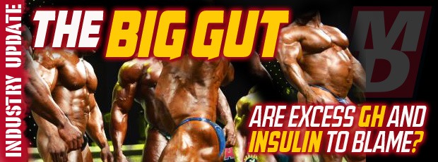The Big Gut The_bi10