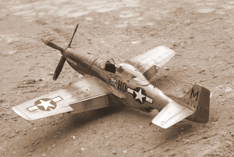 P51-D Mustang ... mon tout premier avion ! P0110