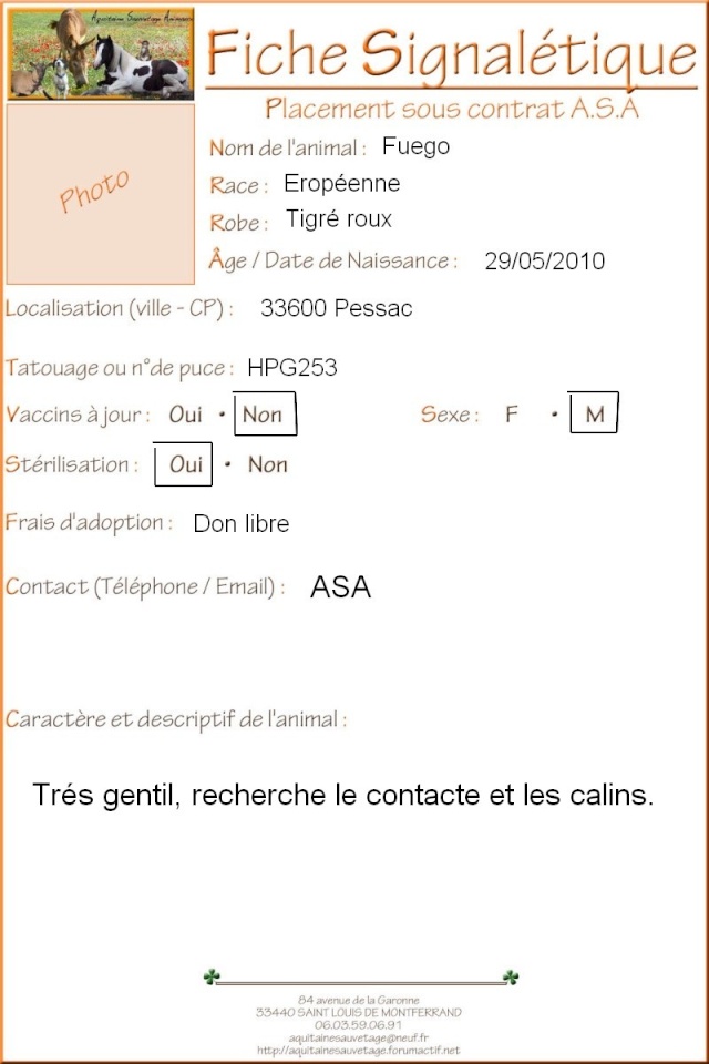 ASA - Fuego chat d'1 an 1/2 (33) Fiche_12