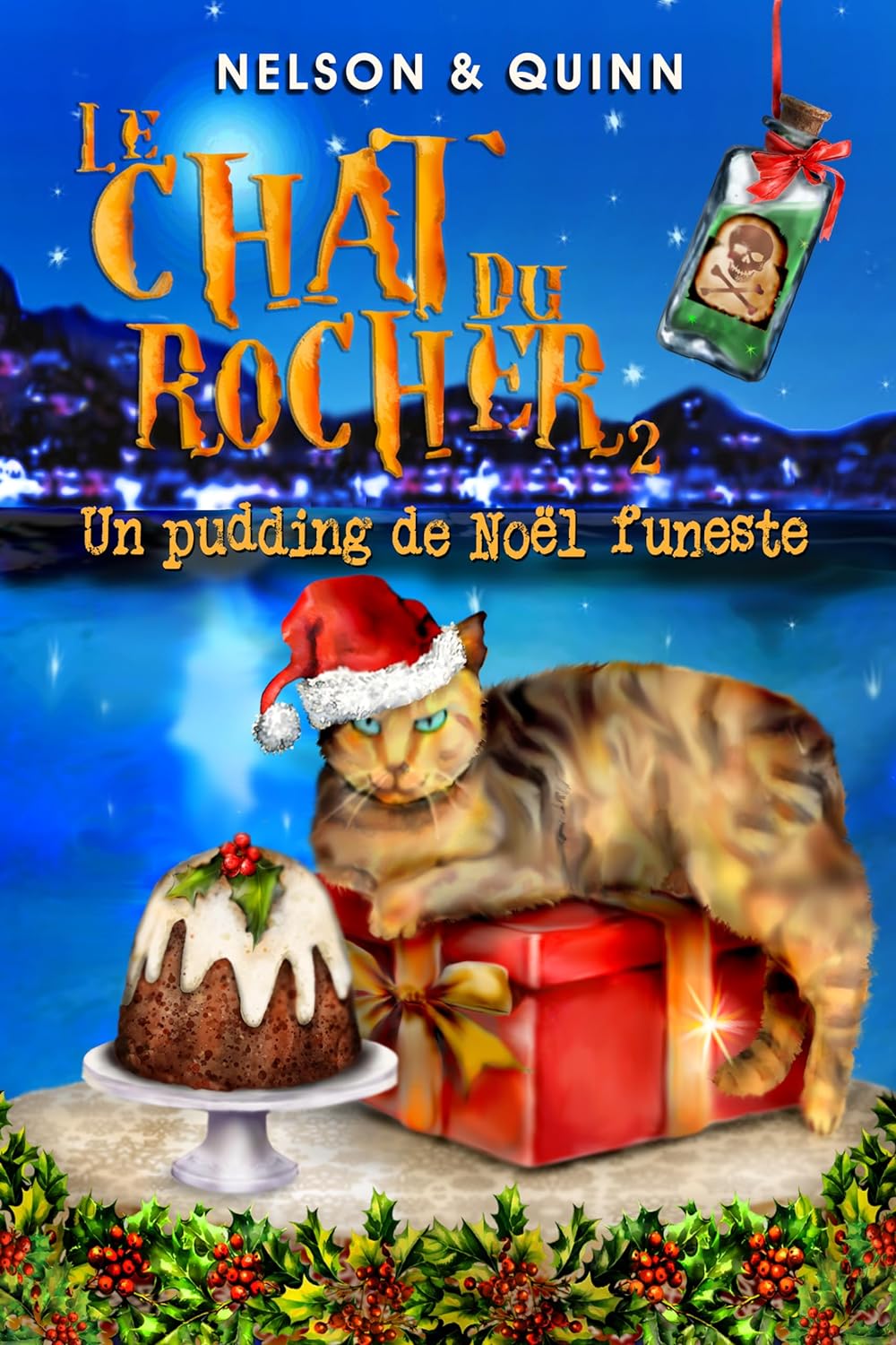 [Nelson, Sandra & Quinn, Alice] Le chat du rocher - Tome 2: Un pudding de Noël funeste Chat10