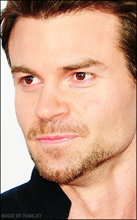 Daniel Gillies 2013gi14