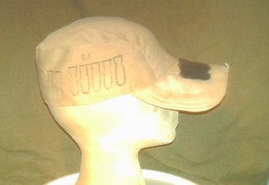 Tan Hat from a USAAF Bomber Crewman Pict0039