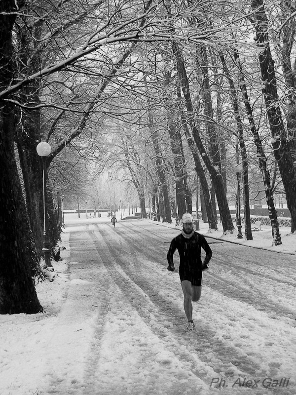 Foto neve Lucca 11 febbraio 2013 Dscn0016