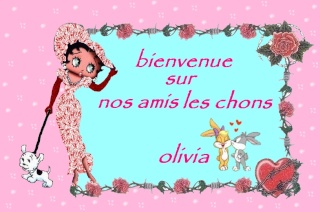 Bonjour a tous Bienve20