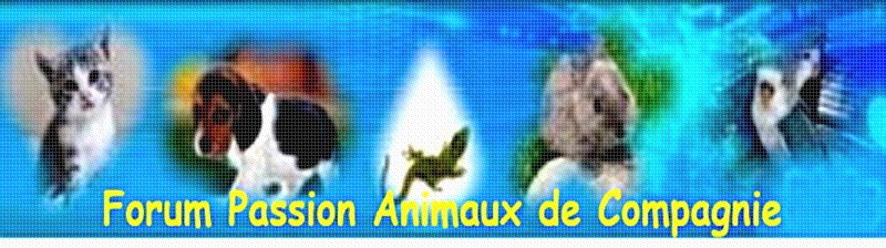 Forum passion animaux de compagnie